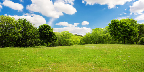 Investing in Vacant Land