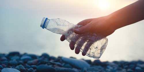 Earth Day Celebration Ideas