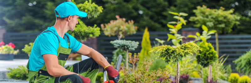 Tips for Buying a Landscaping Business