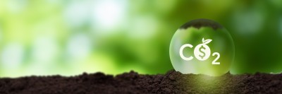 Understanding and Investing in Carbon Credits