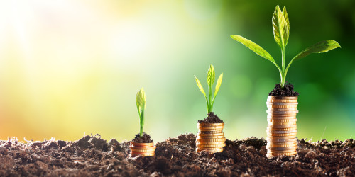 How to Know When It’s Time to Scale Your Business