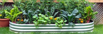 Sustainability: Natural Methods for Garden Pest Prevention
