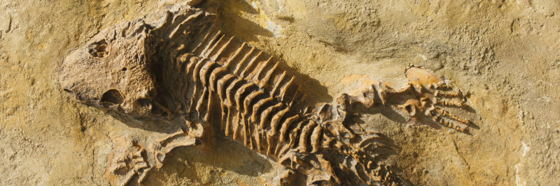 What is the Permian Basin?