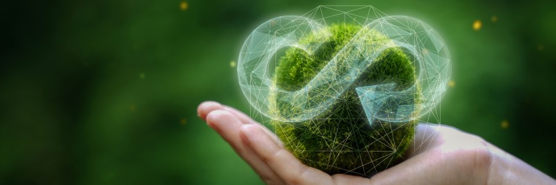 An Introduction to the Circular Economy