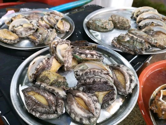 Farmed Live Abalone