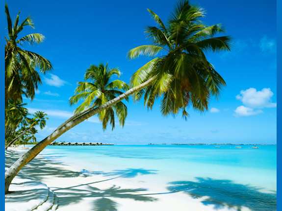 Bahamas Development Opportunity World Class Resort