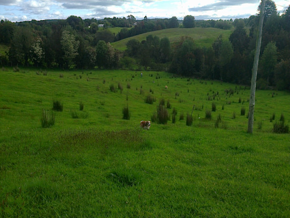 We Have Land Available In Chile, South America