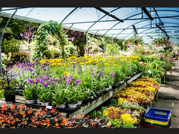 Established & Profitable Nursery with Land for Sale