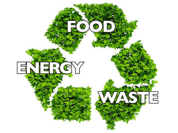 Scalable Carbon-Negative Food-Energy-Waste Systems