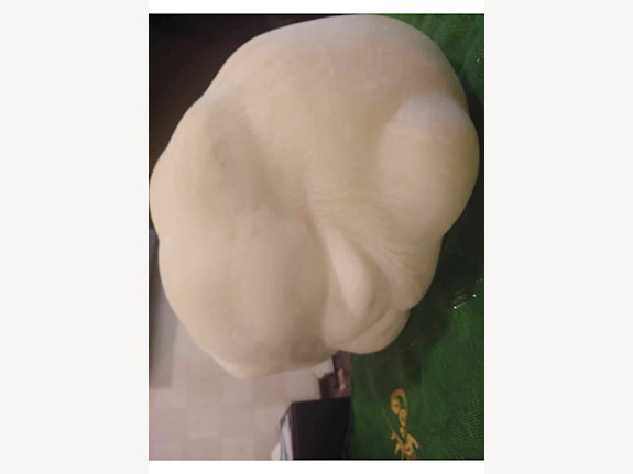 Seeking Buyers of Giant Natural Pearls