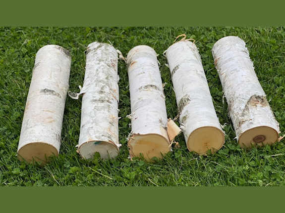 Work From Home Established eCommerce Business