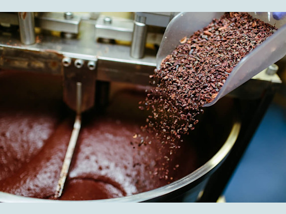 Investment Opportunity in Cocoa Organic Exporting