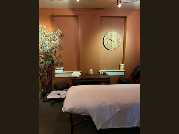 Schaefferstown, PA- Chiropractic Practice for Sale