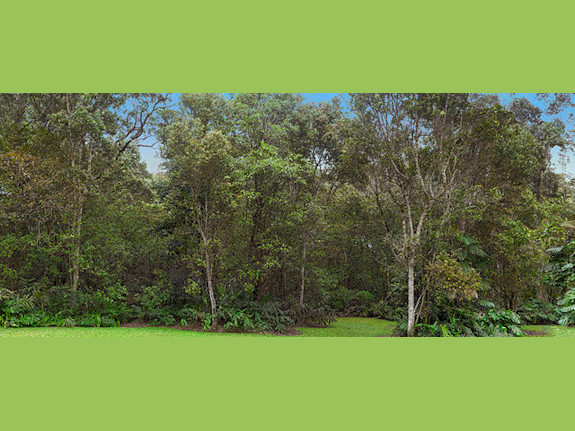 Scenic Backings Rentals- Production Industry