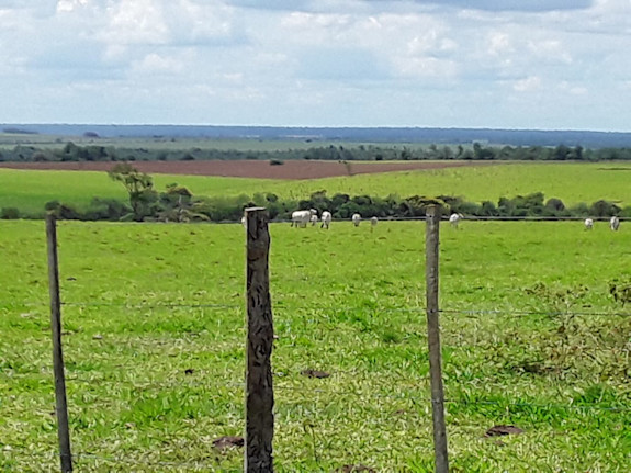 22,239 Acres Soy Bean/Cattle Farm Paraguay