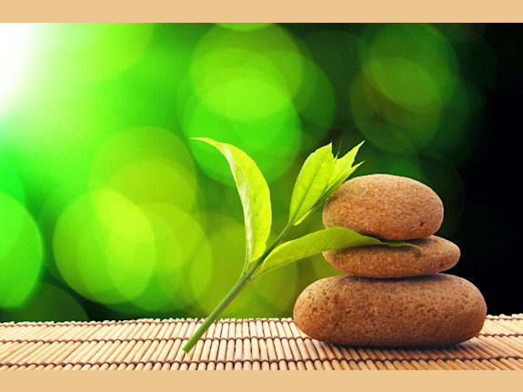 Subscription Model Business in Wellness Industry