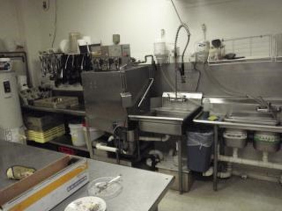 Strong and Special Cafe and Catering