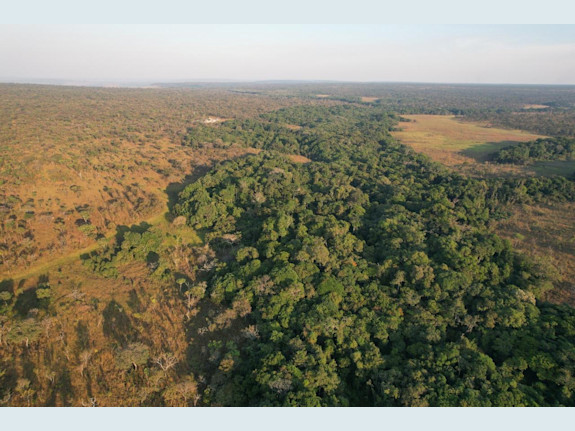 Unique Investment Opportunity