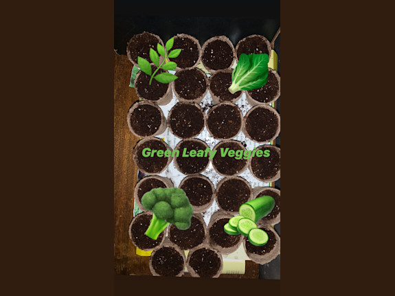 Agricultural Firm for Sale