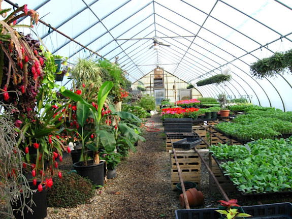 Commercial Nursery and Garden Center For Sale