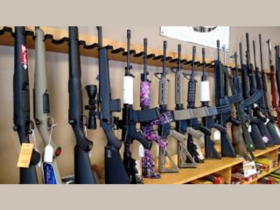 Firearms & Sporting Goods Store for Sale in NC