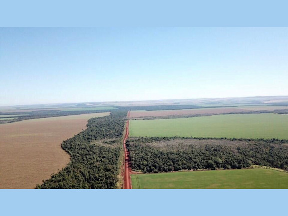 Agriculture Farm in Alto Paraná, Paraguay