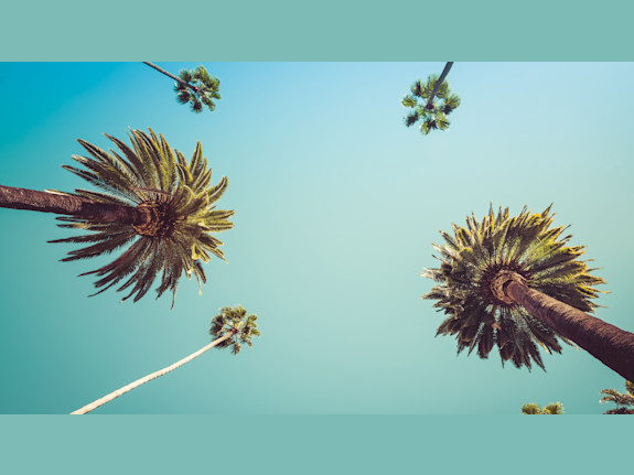 Los Angeles CPA Firm for Sale