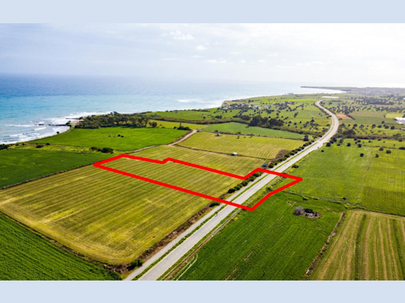 Field in Kivisili, Larnaca