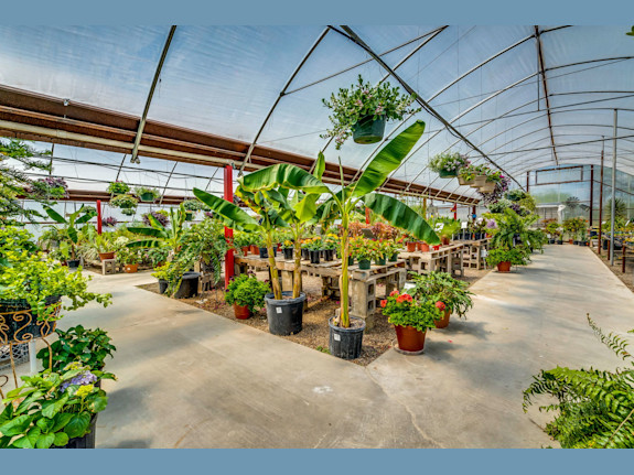 Retail and Wholesale Nursery in Texas