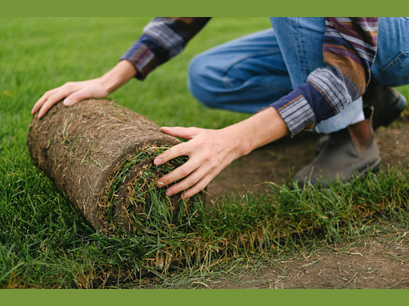 Artificial Landscape Turf Business