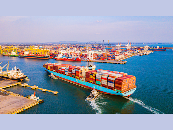 6 Year Old Special Status Trading Lic. Co/ Georgia