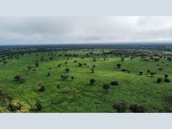 Ranch formed in the Paraguayan Chaco of 3,740 hectares