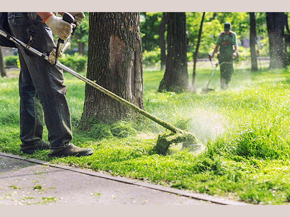Full-Service Landscape Maintenance Company