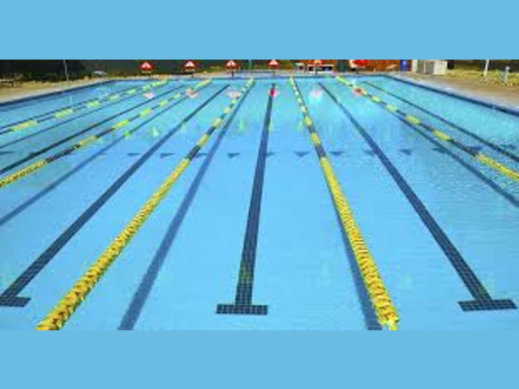 Patented Swim Training & Exercise Board Business