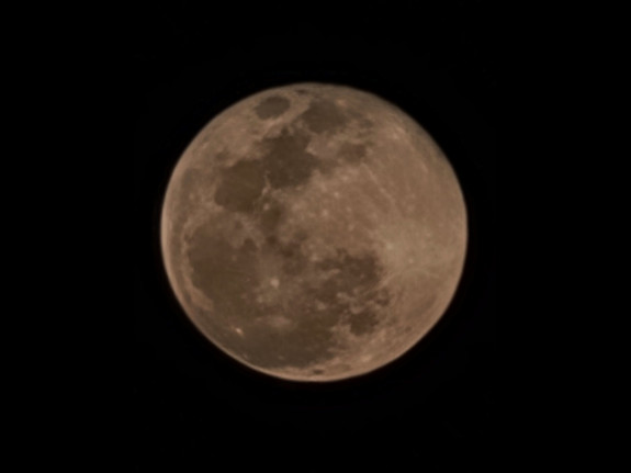 Energy Futures Trader