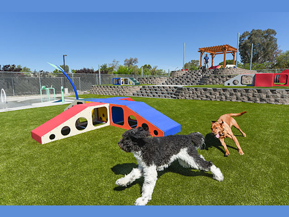 Thriving Pet-Resort Offering Premium Boarding