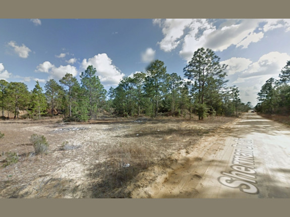 Nice Lot In Interlachen Florida