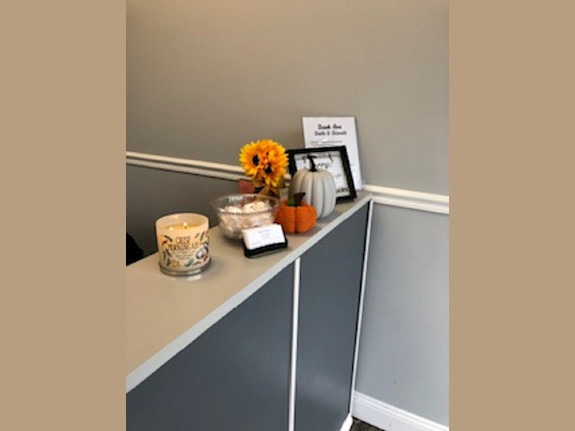 Local Pet Grooming Business for Sale in NY