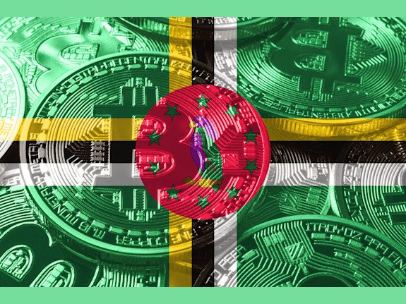 Dominica Multi-Activity +VASP Financial License