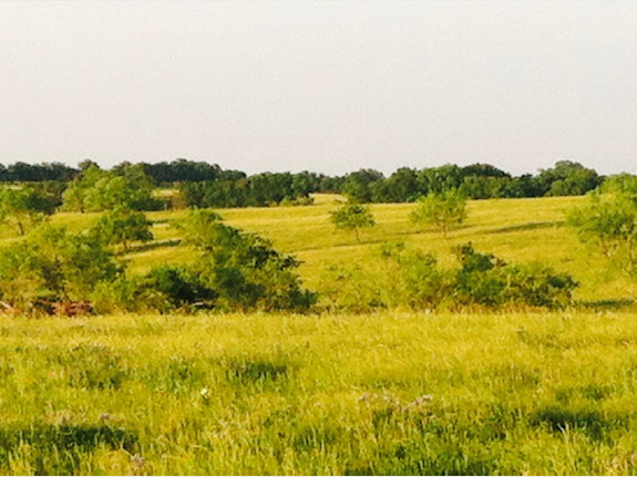 250 Ac In Ellis County Texas Ready For Development