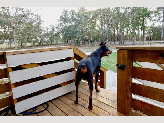 Ocala Mini-Farm Compound