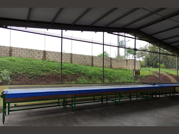 Fresh Produce Packer/Exporter Nayarit Mexico