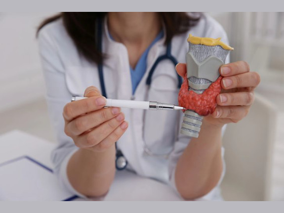 Bolt-On Endocrinology Specialty Practice in DE