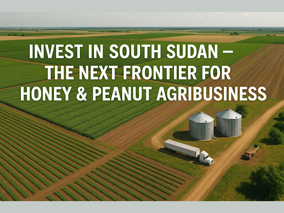 High-Return Peanut & Honey Processing In Africa