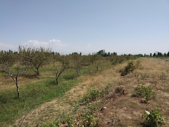 For Sale: Agricultural Business with 7 Hectares