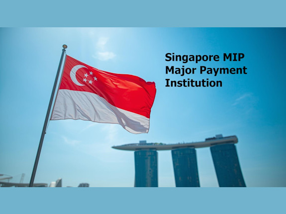 Singapore Major Payment Institution- MIP for sale