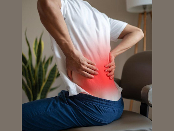 Established Chiropractic & Physical Therapy