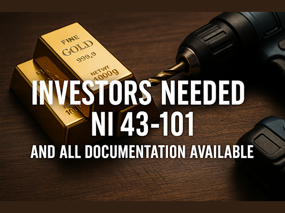 Patners Needed for Gold Mine Acquisition