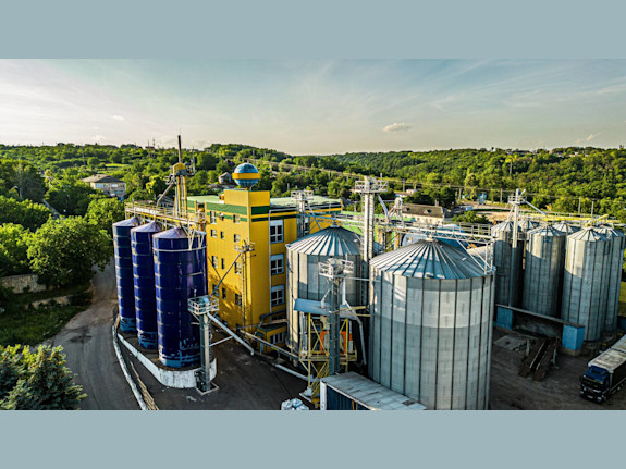 Moldova’s Top Confection Sunflower Seeds