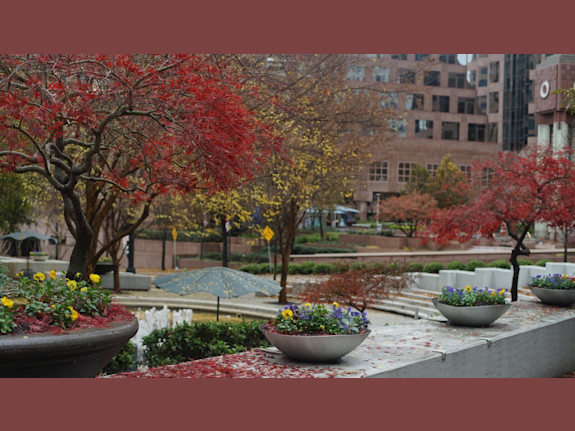 Mooresville-Statesville Area CPA - High Cash Flow